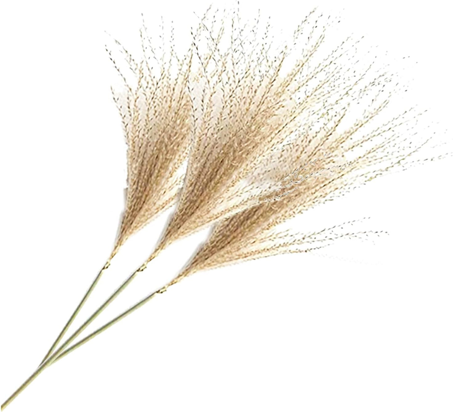 Uieke 500Pcs Natural Dried Pampas Grass Plume 17inch Tall Dried Flowers Bulk Reed Dried Plants for Wedding Flower Arrangements Farmhouse Wreath Door Centerpiece Home Décor Brown