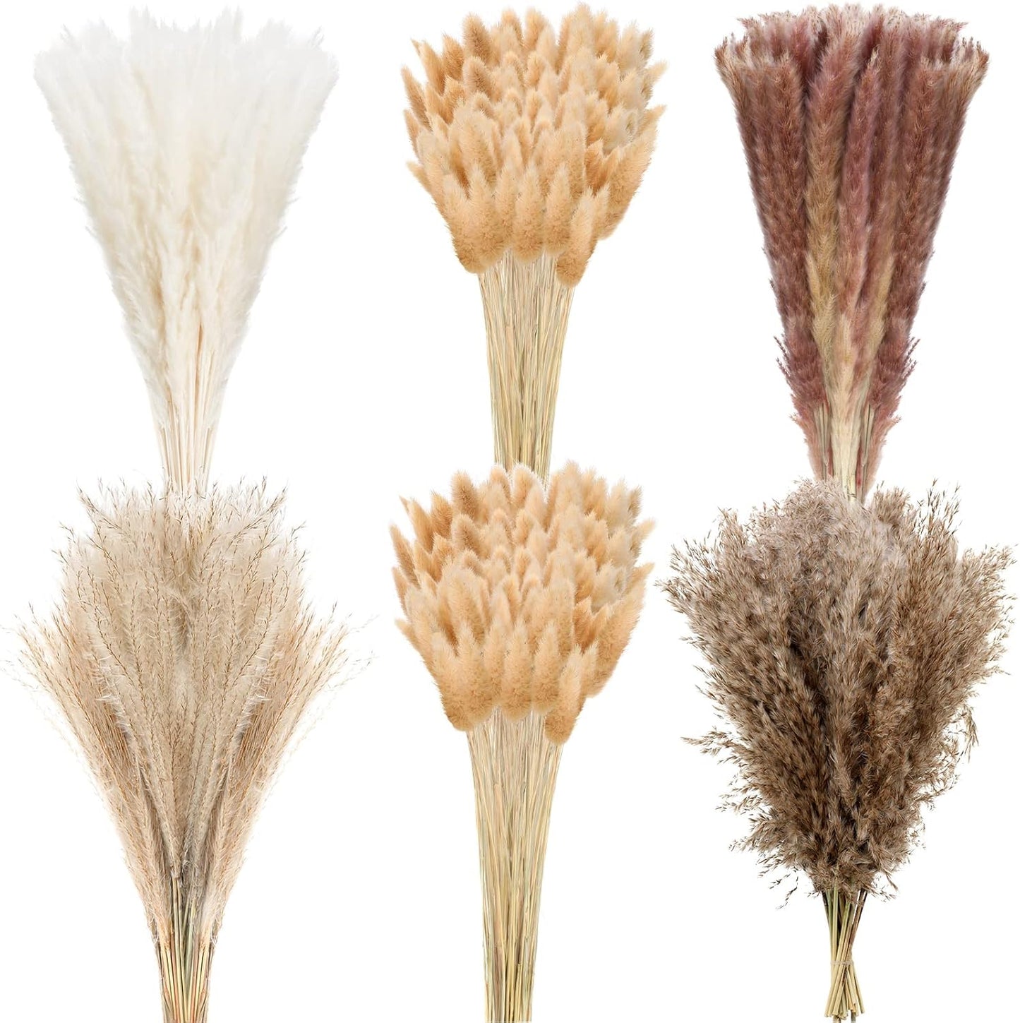 500 Pcs Dried Pampas Grass Decor, 17 Inch Dried Flower Plants bulk white and brown Pampas Grass Reed Bunny Tails Bouquet for Wedding Boho Table Decor Rustic Farmhouse Party decoration