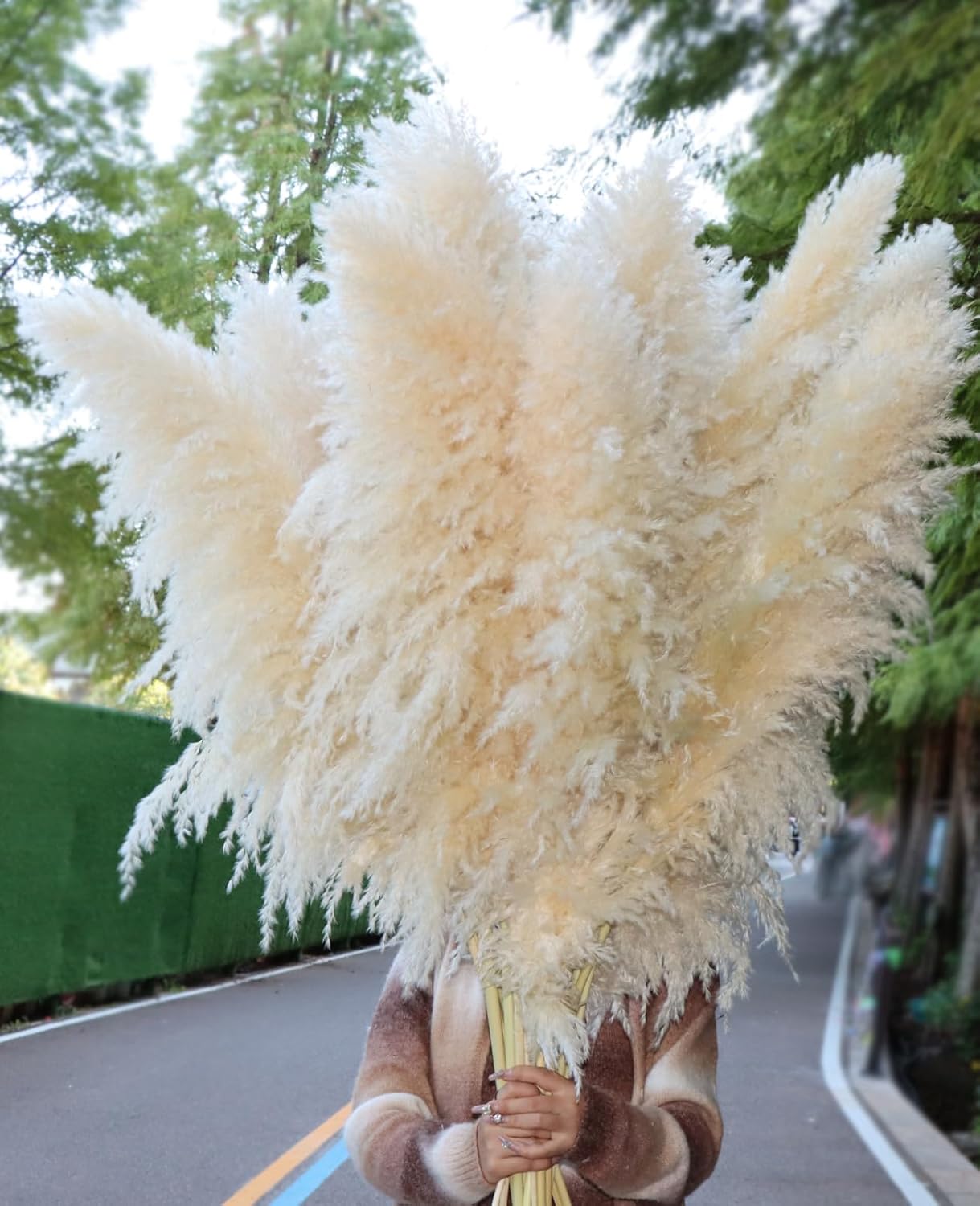 46inch 12pcs Dried Pampas Grass Decor Tall-Large Brown Pompas Grass Floral-Natural Tall Fluffy Pampas Grass Flower for Floor Vase,Wedding,Party,Living Room Floor,Boho Home Decor