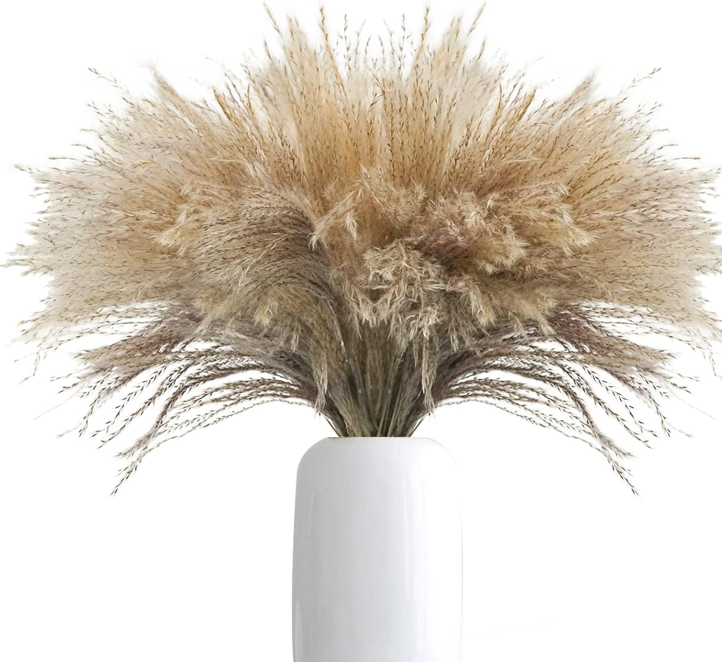 Uieke 500Pcs Natural Dried Pampas Grass Plume 17inch Tall Dried Flowers Bulk Reed Dried Plants for Wedding Flower Arrangements Farmhouse Wreath Door Centerpiece Home Décor Brown