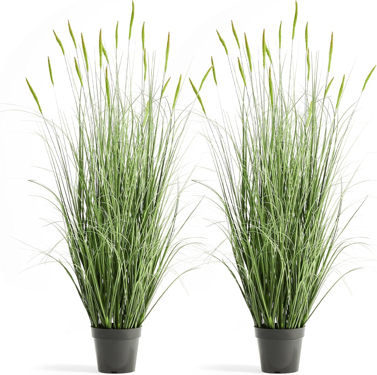 Faux 4ft 2-Pack Horsetail Reed Grass with Green Spikes, 48in Tall Indoor Outdoor Fake Grass in Pot, Home Office Decorative Artificial Plant & Greenery, Wedding Decor Bristlegrass
