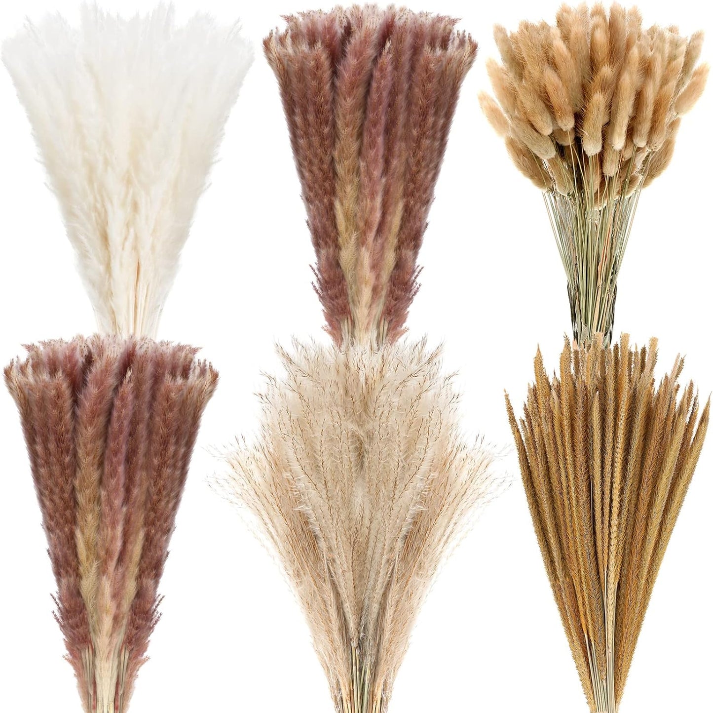 500 Pcs Dried Pampas Grass Decor, 17 Inch Dried Flower Plants bulk white and brown Pampas Grass Reed Bunny Tails Bouquet for Wedding Boho Table Decor Rustic Farmhouse Party decoration