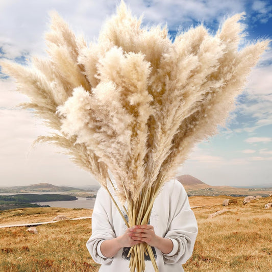 Tigeen 40 Stems Natural Dried Pampas Grass Decor, Large Pampas Grass for Tall Floor Vase, Natural Beige Pompas, Dried Flower Bouquet for Wedding, Party, Farmhouse, Boho Home Decor, 40 Inch