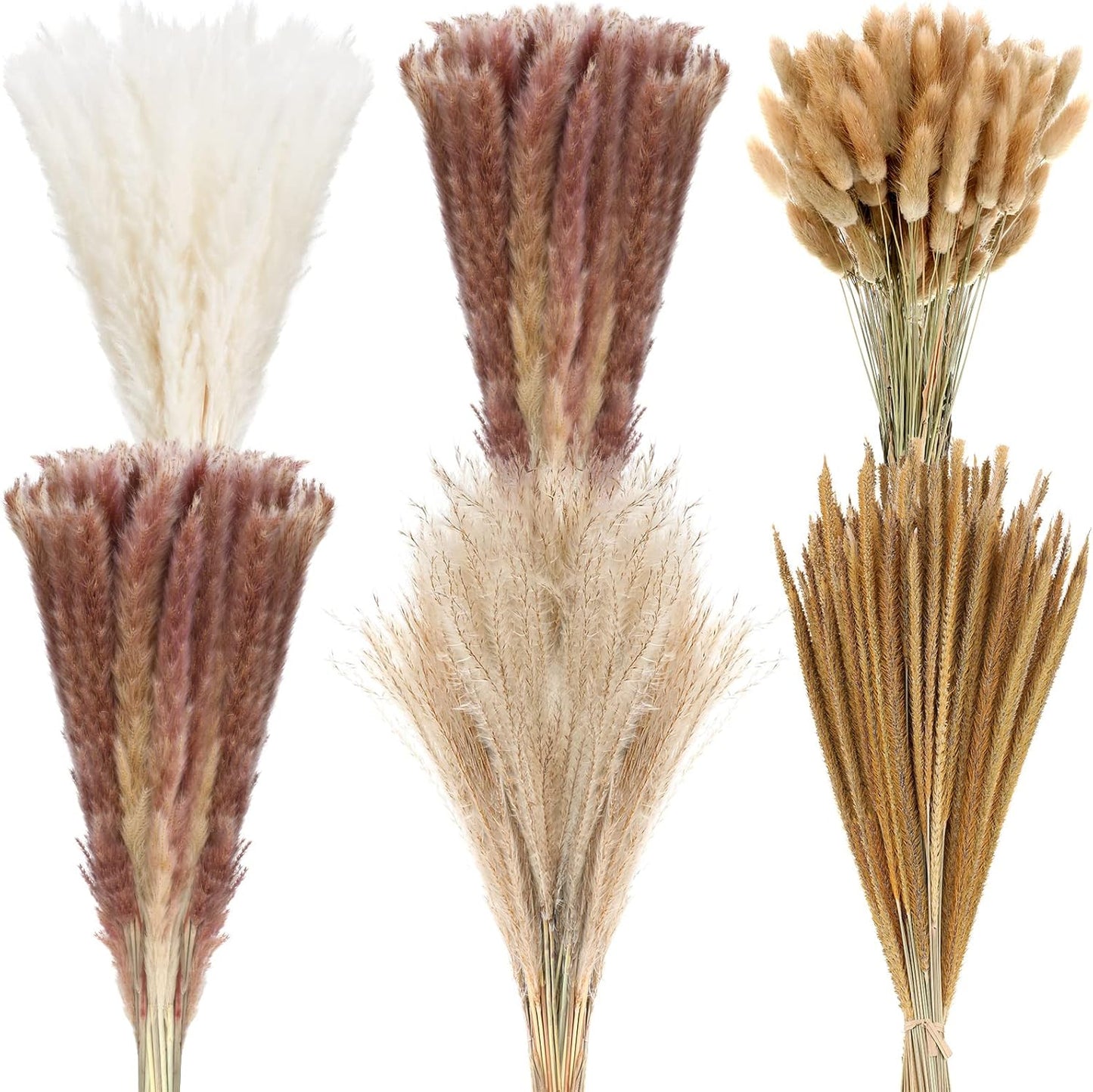 500 Pcs Dried Pampas Grass Decor, 17 Inch Dried Flower Plants bulk white and brown Pampas Grass Reed Bunny Tails Bouquet for Wedding Boho Table Decor Rustic Farmhouse Party decoration