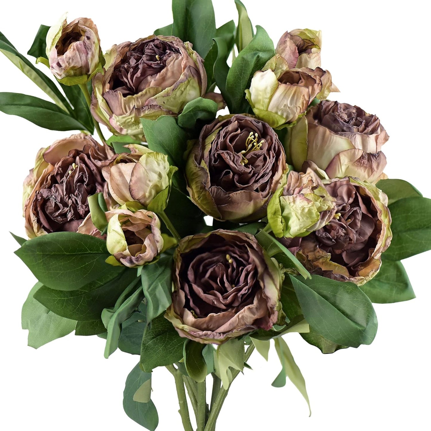 FiveSeasonStuff Mixed Cream Beige and Moss Green Vintage Artificial Silk Flower Peonies 2 Bouquets Floral