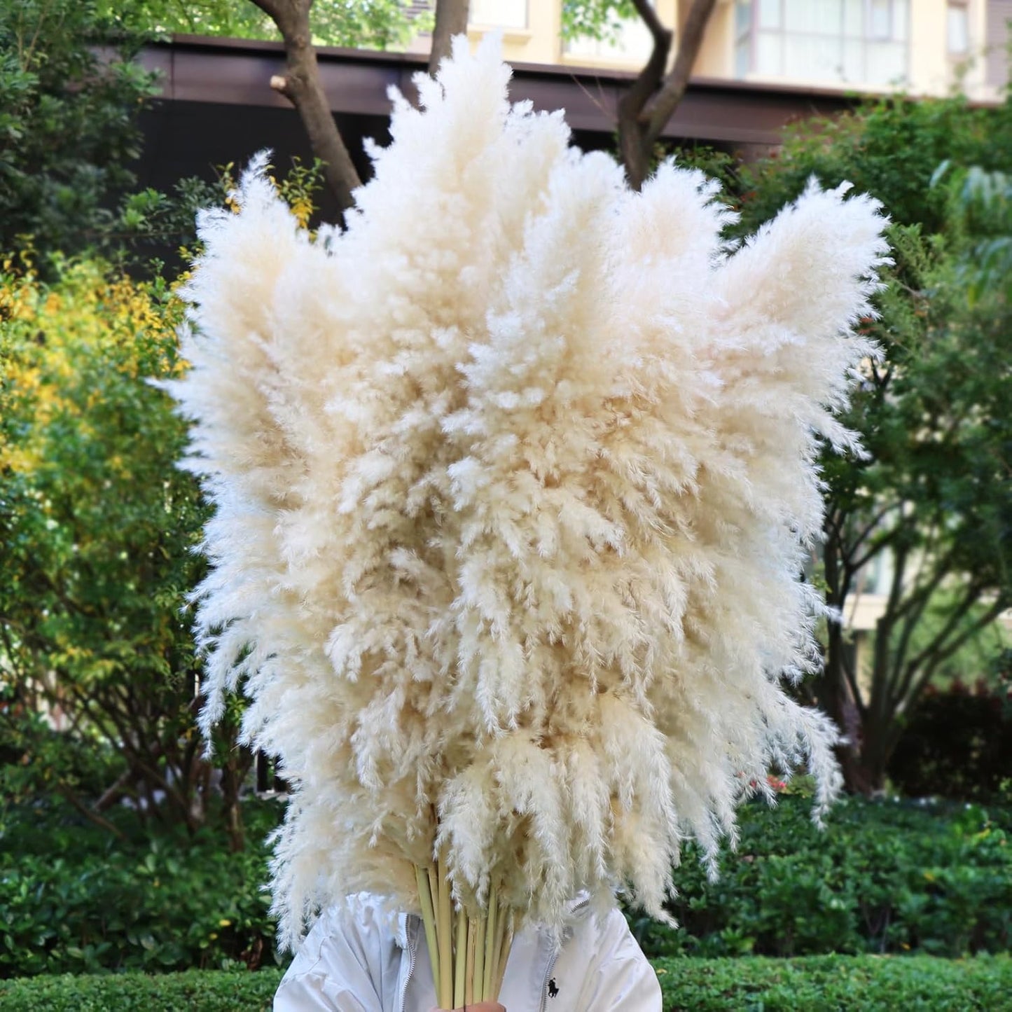 46inch 12pcs Dried Pampas Grass Decor Tall-Large Brown Pompas Grass Floral-Natural Tall Fluffy Pampas Grass Flower for Floor Vase,Wedding,Party,Living Room Floor,Boho Home Decor